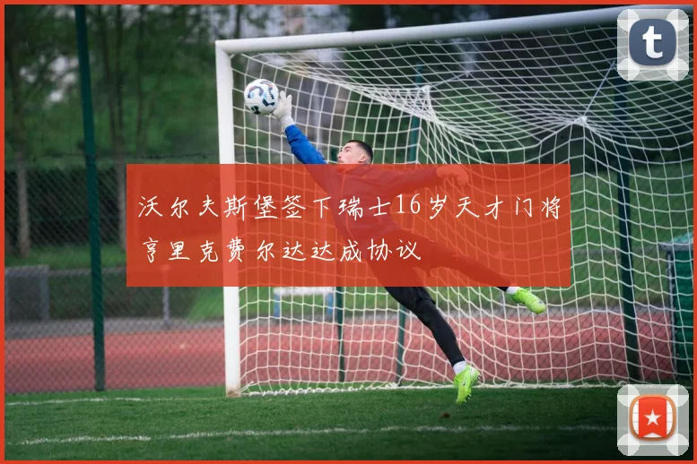 沃尔夫斯堡签下瑞士16岁天才门将亨里克费尔达达成协议