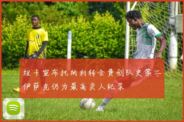 纽卡宣布托纳利转会费创队史第二伊萨克仍为最高卖人纪录